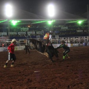 Final do rodeio em touros atrai milhares de pessoas (16)