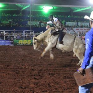 Final do rodeio em touros atrai milhares de pessoas (18)