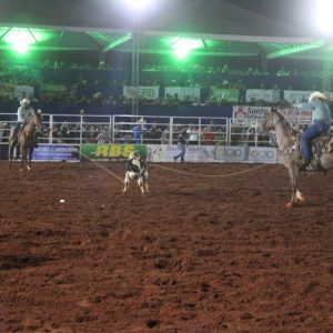 Final do rodeio em touros atrai milhares de pessoas (33)