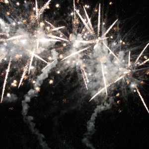 Final do rodeio em touros atrai milhares de pessoas (7)