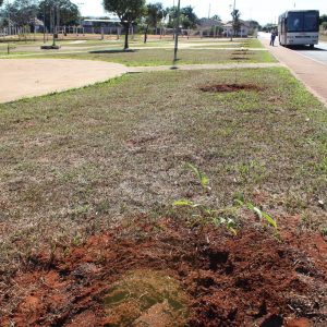Prefeitura comemora o Dia Mundial de Meio Ambiente com ações envolvendo os alunos do Projeto Aprendendo a Crescer (12)