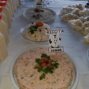 WhatsApp Image 2019-06-14 at 11.17.03 (1) (Copy)