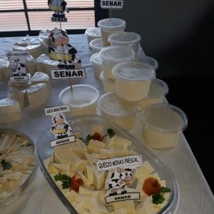 WhatsApp Image 2019-06-14 at 11.17.03 (2) (Copy)