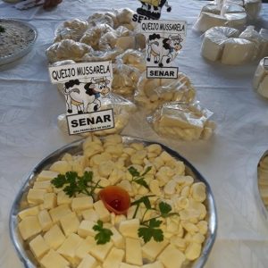 WhatsApp Image 2019-06-14 at 11.17.03 (Copy)