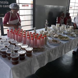 WhatsApp Image 2019-06-14 at 11.17.04 (Copy)