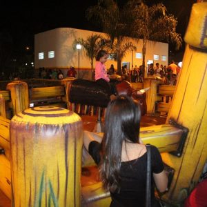 2º Juninão leva grande público para a praça (41) 2º Juninão leva grande público para a praça (41)