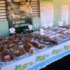 Comunidade Paulo Freire recebe curso de Defumação de Carne de Frango (11) Comunidade Paulo Freire recebe curso de Defumação de Carne de Frango (11)