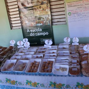 Comunidade Paulo Freire recebe curso de Defumação de Carne de Frango (12) Comunidade Paulo Freire recebe curso de Defumação de Carne de Frango (12)