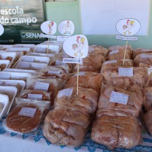 Comunidade Paulo Freire recebe curso de Defumação de Carne de Frango (13) Comunidade Paulo Freire recebe curso de Defumação de Carne de Frango (13)