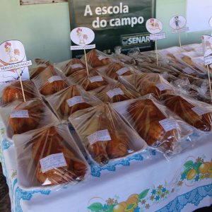 Comunidade Paulo Freire recebe curso de Defumação de Carne de Frango (14) Comunidade Paulo Freire recebe curso de Defumação de Carne de Frango (14)