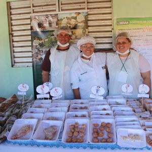 Comunidade Paulo Freire recebe curso de Defumação de Carne de Frango (9) Comunidade Paulo Freire recebe curso de Defumação de Carne de Frango (9)