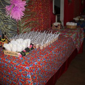 Festa julina movimenta distrito de Perdilândia (39) Festa julina movimenta distrito de Perdilândia (39)