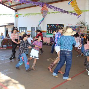 IMG_8705 (Copy) IMG_8705 (Copy)