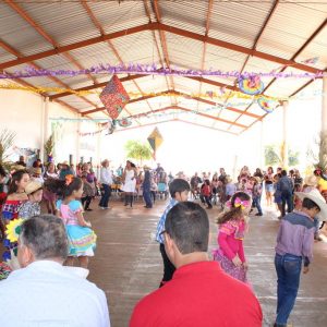 IMG_8777 (Copy) IMG_8777 (Copy)