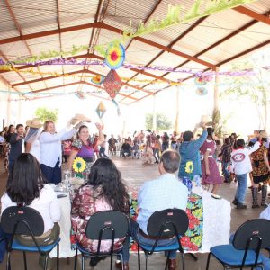 IMG_8778 (Copy) IMG_8778 (Copy)