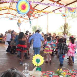 IMG_8784 (Copy) IMG_8784 (Copy)