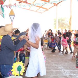 IMG_8788 (Copy) IMG_8788 (Copy)