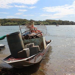 IMG_9214 (Copy) IMG_9214 (Copy)