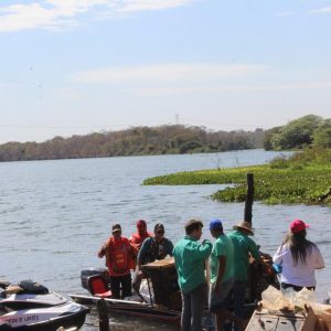 IMG_9231 (Copy) IMG_9231 (Copy)