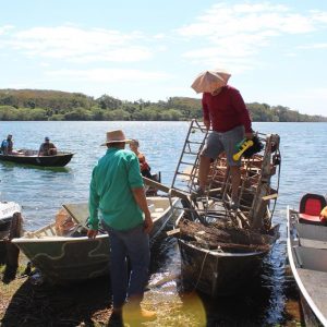 IMG_9246 (Copy) IMG_9246 (Copy)