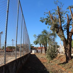 Podas e cortes de árvores são triturados e retornam à natureza na forma de adubo orgânico (12) Podas e cortes de árvores são triturados e retornam à natureza na forma de adubo orgânico (12)