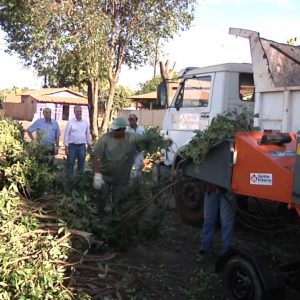 Podas e cortes de árvores são triturados e retornam à natureza na forma de adubo orgânico (16) Podas e cortes de árvores são triturados e retornam à natureza na forma de adubo orgânico (16)