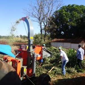 Podas e cortes de árvores são triturados e retornam à natureza na forma de adubo orgânico (17) Podas e cortes de árvores são triturados e retornam à natureza na forma de adubo orgânico (17)