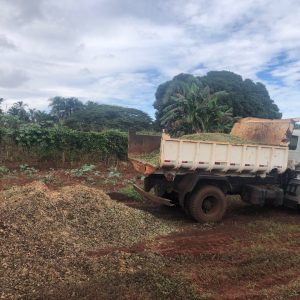 Podas e cortes de árvores são triturados e retornam à natureza na forma de adubo orgânico (18) Podas e cortes de árvores são triturados e retornam à natureza na forma de adubo orgânico (18)