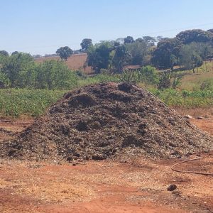 Podas e cortes de árvores são triturados e retornam à natureza na forma de adubo orgânico (19) Podas e cortes de árvores são triturados e retornam à natureza na forma de adubo orgânico (19)