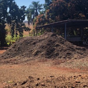 Podas e cortes de árvores são triturados e retornam à natureza na forma de adubo orgânico (21) Podas e cortes de árvores são triturados e retornam à natureza na forma de adubo orgânico (21)