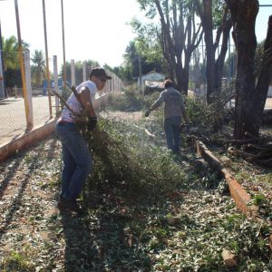 Podas e cortes de árvores são triturados e retornam à natureza na forma de adubo orgânico (4) Podas e cortes de árvores são triturados e retornam à natureza na forma de adubo orgânico (4)