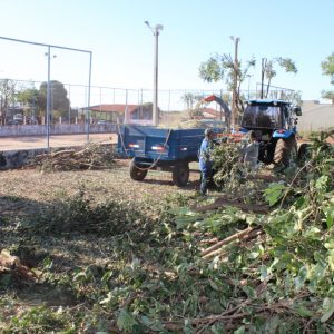Podas e cortes de árvores são triturados e retornam à natureza na forma de adubo orgânico (7) Podas e cortes de árvores são triturados e retornam à natureza na forma de adubo orgânico (7)