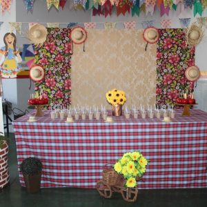 Projeto Aprendendo a Crescer promove Festa Julina (3)