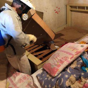 WhatsApp Image 2019-07-23 at 12.11.29 (2) WhatsApp Image 2019-07-23 at 12.11.29 (2)