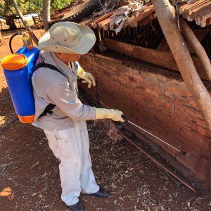 WhatsApp Image 2019-07-23 at 12.11.29 (3) WhatsApp Image 2019-07-23 at 12.11.29 (3)