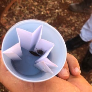 WhatsApp Image 2019-07-24 at 09.06.55 WhatsApp Image 2019-07-24 at 09.06.55