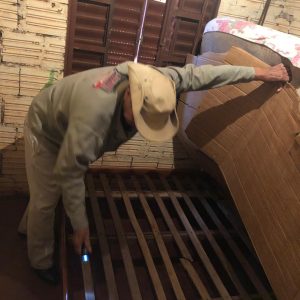 WhatsApp Image 2019-07-24 at 09.06.56 WhatsApp Image 2019-07-24 at 09.06.56