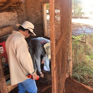 WhatsApp Image 2019-07-24 at 09.06.57 WhatsApp Image 2019-07-24 at 09.06.57