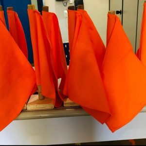 Agentes de Combate a Endemias de Santa Vitória recebem equipamentos (3) Agentes de Combate a Endemias de Santa Vitória recebem equipamentos (3)