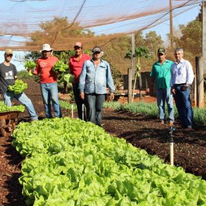 IMG-20190813-WA0086 IMG-20190813-WA0086