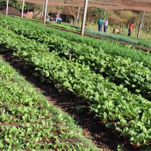 IMG-20190813-WA0087 IMG-20190813-WA0087