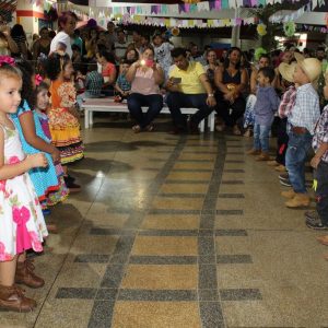 IMG_0488 (Copy) IMG_0488 (Copy)