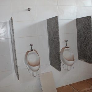 Líderes do Executivo acompanham início das obras no Ginásio Pio Bonito que será totalmente reformado (14)