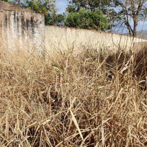 Líderes do Executivo acompanham início das obras no Ginásio Pio Bonito que será totalmente reformado (25)