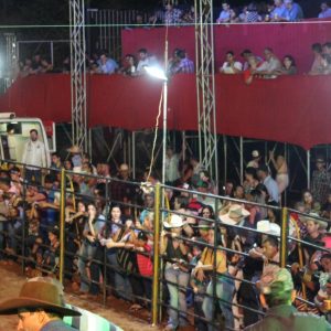 IMG-20190914-WA0037 IMG-20190914-WA0037