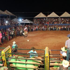 IMG-20190914-WA0038 IMG-20190914-WA0038