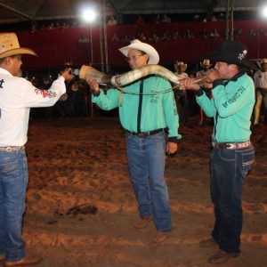 IMG-20190914-WA0045 IMG-20190914-WA0045