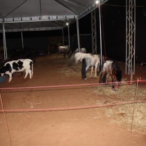 IMG-20190914-WA0054 IMG-20190914-WA0054