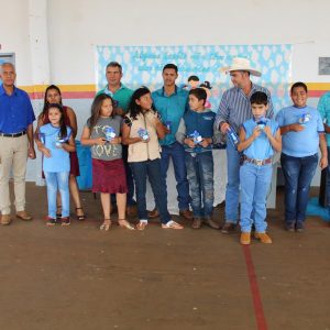 IMG_1105 (Copy) IMG_1105 (Copy)