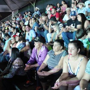 IMG_1569 (Copy) IMG_1569 (Copy)